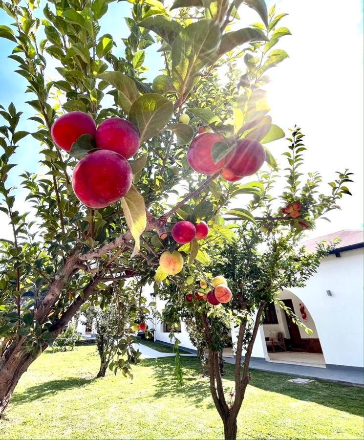 Bella Tilcara Boutique Hotel Εξωτερικό φωτογραφία